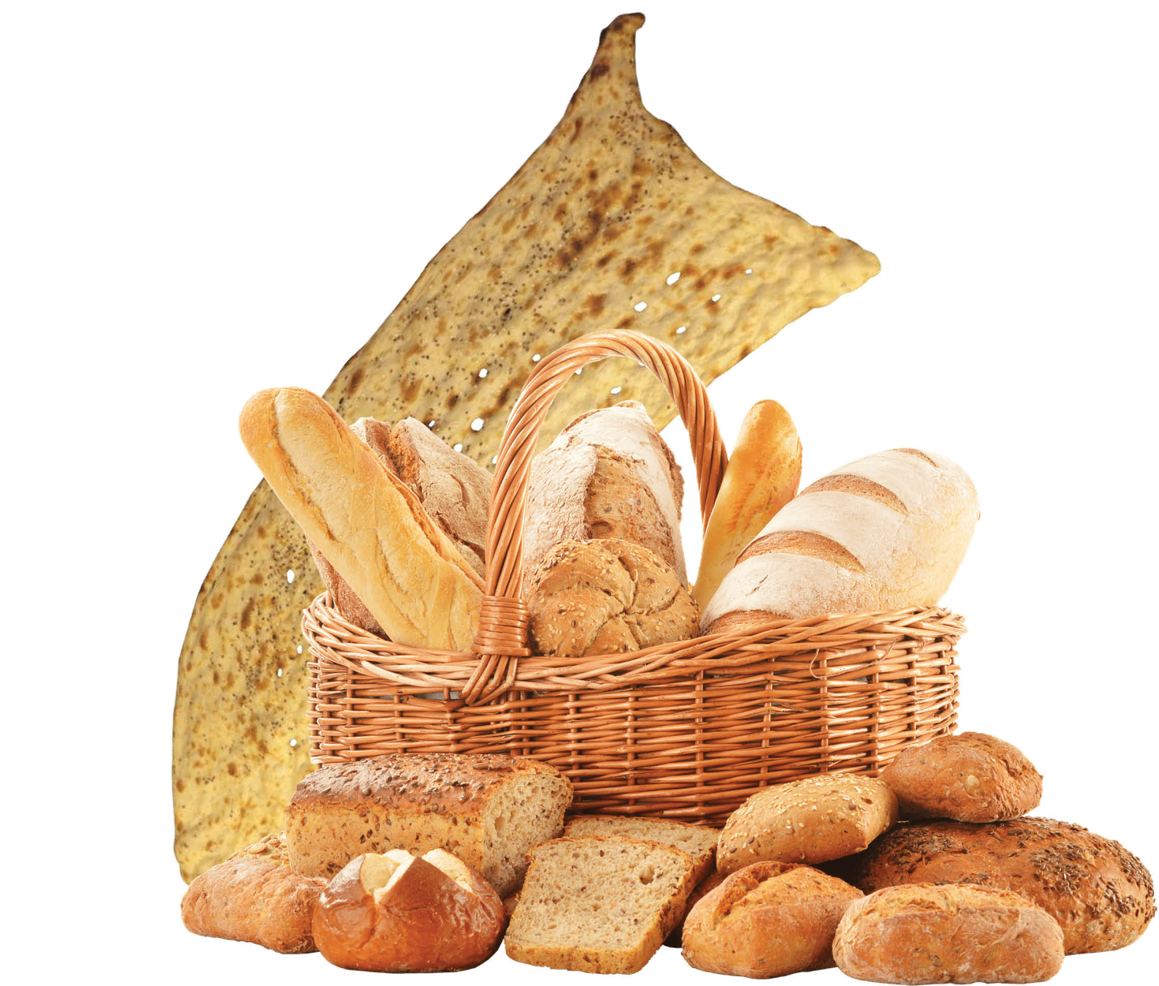 انواع نان کتوژنیک