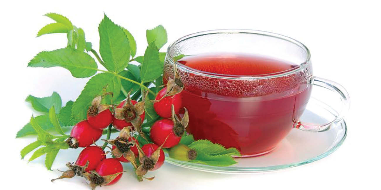 نسترن ، میوه‌ای که۲۰ برابر لیمو ویتامین ث دارد